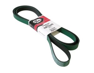 03-12 5.9L-6.7L Dodge Gates Serpentine Belt