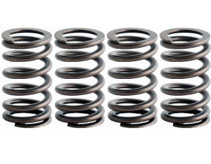 98-18 5.9L/6.7L Dodge Ram Cummins Valve Springs