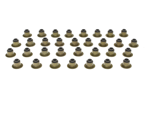 11-22 6.7L Ford Powerstroke Valve Stem Seals