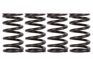 01-16 6.6L Duramax Valve Springs