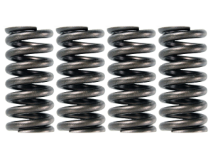04-10 6.0L/6.4L Ford Powerstroke Valve Springs